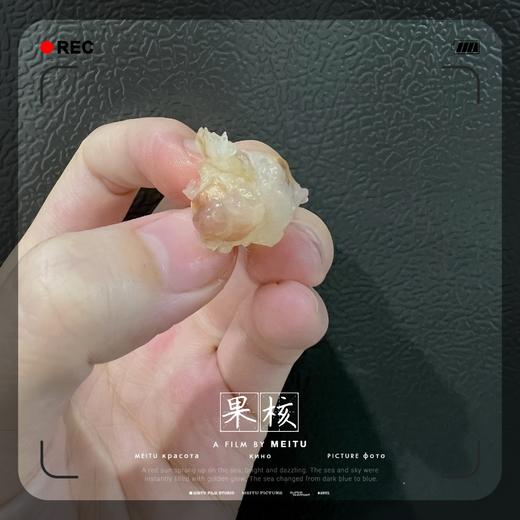 【进口专区】泰国 龙宫果//爱情果   顺丰空运 商品图5