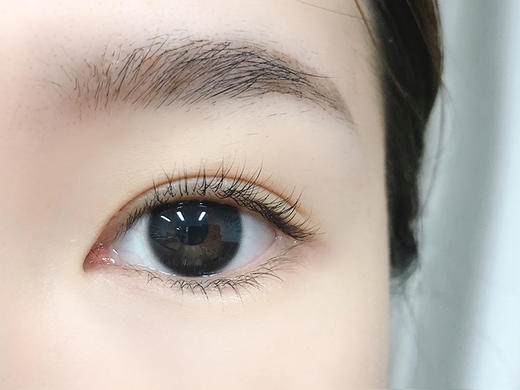 4Youthcon旗下 · 黑加仑｜年抛｜14.2mm中等直径 商品图4