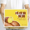 云阳蜜薯5斤精品装  商品缩略图2