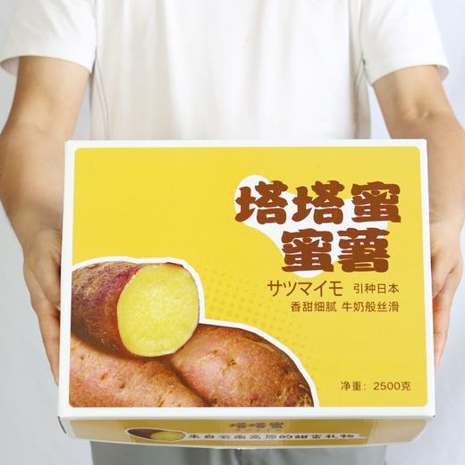 云阳蜜薯5斤精品装  商品图2