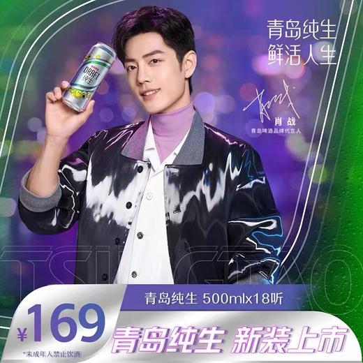 青岛啤酒纯生500ml*18听 商品图4