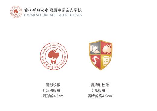 2025深圳南科大附中（宝安学校-小学）买校服赠送校徽 商品图4