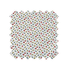 LB003A  FLEET STREET DAISY 磨毛威尔顿棉 269一米