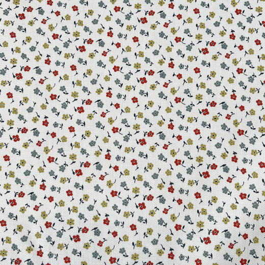 LB003A  FLEET STREET DAISY 磨毛威尔顿棉 269一米 商品图2