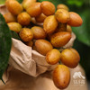 生态黄皮 | 绿家自产 *Eco-wampe | In-House Production 商品缩略图2