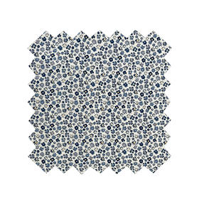 LB002A   BLOSSOM  磨毛威尔顿棉 秋冬面料 269元/米