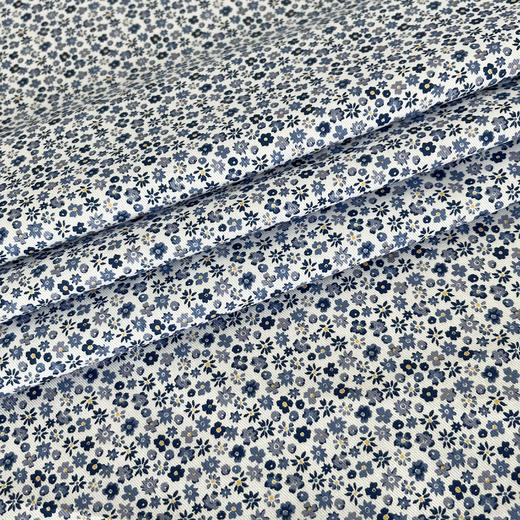 LB002A   BLOSSOM  磨毛威尔顿棉 秋冬面料 269元/米 商品图1