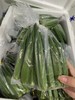 新鲜秋葵 230g 低脂又鲜嫩的秋葵，怎么做都好吃，健康又下饭！脆嫩无筋，凉拌清炒都超赞 商品缩略图0