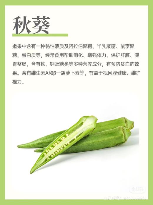 新鲜秋葵 230g 低脂又鲜嫩的秋葵，怎么做都好吃，健康又下饭！脆嫩无筋，凉拌清炒都超赞 商品图3