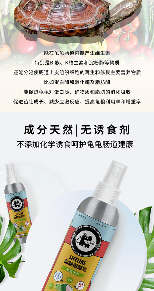 【出眠肠道恢复】调理乌龟肠胃菌群针对不开食有奇效，轻微肠胃炎食疗，调节水体有益菌数量 商品图9