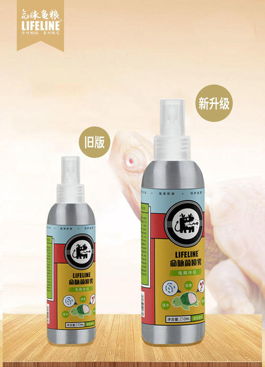 【出眠肠道恢复】调理乌龟肠胃菌群针对不开食有奇效，轻微肠胃炎食疗，调节水体有益菌数量 商品图1