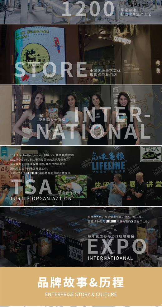 【出眠肠道恢复】调理乌龟肠胃菌群针对不开食有奇效，轻微肠胃炎食疗，调节水体有益菌数量 商品图11