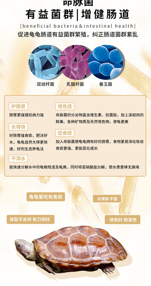 【出眠肠道恢复】调理乌龟肠胃菌群针对不开食有奇效，轻微肠胃炎食疗，调节水体有益菌数量 商品图2