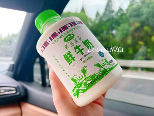 青海湖牛奶500ML 商品图0