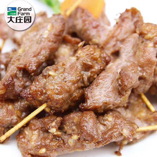大庄园儿童牙签羊肉 商品图2