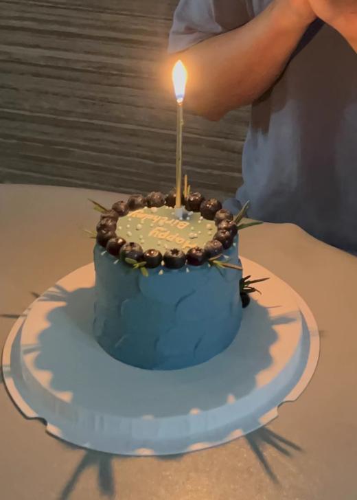 蓝莓的裂变 | 低糖处理无添加 商品图5