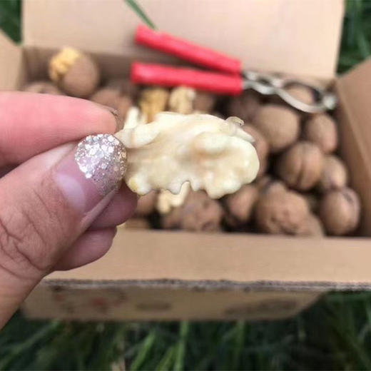 云南老树新鲜核桃、鲜嫩脆爽、口感好、没有添加剂、原汁原味 商品图4