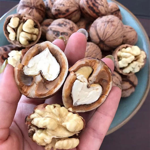 云南老树新鲜核桃、鲜嫩脆爽、口感好、没有添加剂、原汁原味 商品图0