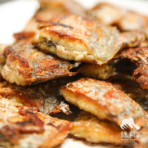 野生东山岛海钓带鱼 | 合作生产*Wild hairtail | Coprodution 商品图2