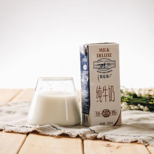 蒙牛特仑苏纯牛奶250ml全脂灭菌营养早餐必备 商品图1