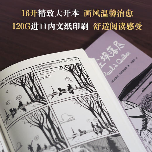 【新经典】当尘埃落尽 商品图2