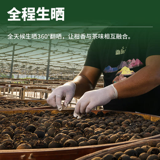 2021小青柑普（宫廷珍珠）玻璃瓶装250g 商品图3