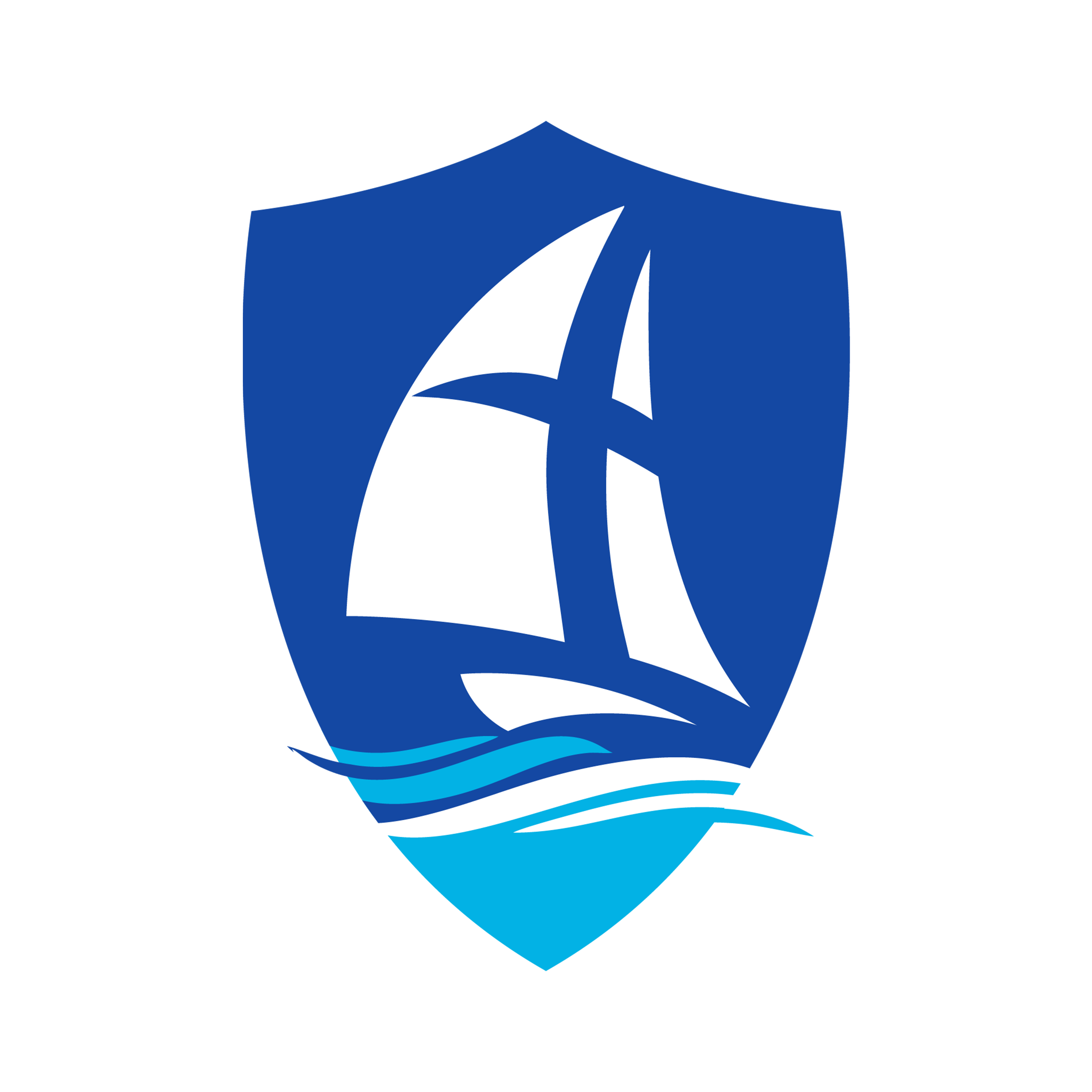 蓝十字健康商城