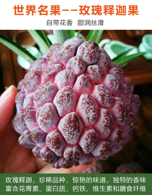 海南玫瑰释迦果 口感绵滑 有淡淡玫瑰香 商品图5