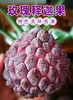海南玫瑰释迦果 口感绵滑 有淡淡玫瑰香 商品缩略图0