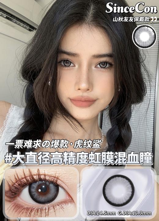 【小红书推荐款】Sincecon虎纹鲨,直径14.5，着色13.9， 99/一副，138/两副，178/三副 商品图3