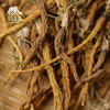 野生防风 | 合作生产*Wild Divaricate Saposhniovia Root | Coproduction 商品缩略图2
