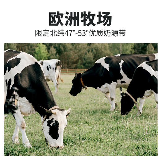 中粮上质德国全脂纯牛奶礼盒200ml*10 商品图4