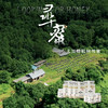 【咏礼记黑蜂椴树雪蜜】国家地理标识认证蜂蜜，奶油冰激凌口感固态蜜！ 商品缩略图1