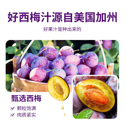 英贝健益生元西梅纤维果饮500ml（8A) 商品图2