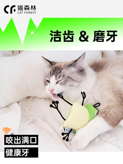 猫森林猫薄荷木天蓼改善食欲猫咪自嗨解闷玩具 商品图3