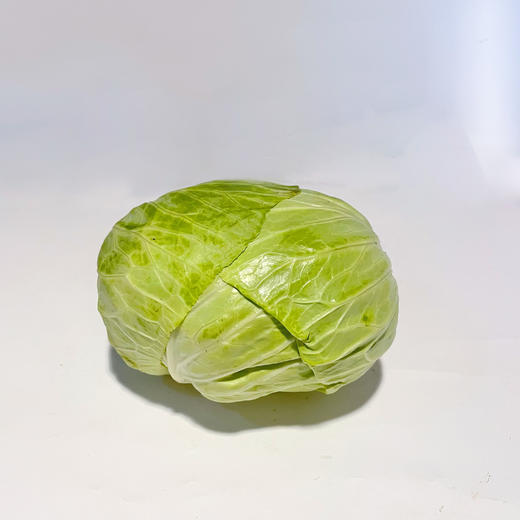 水果甘蓝｜静物自产 商品图0