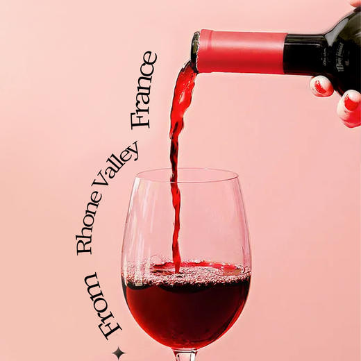 一价到底 【保税仓直发 法国原装进口梅洛干红】罗纳河谷王子酒庄酿  巴黎金奖  梅洛干红。（2.10-2.25停发） 商品图4