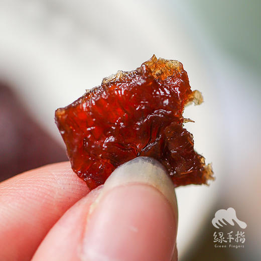 生态樱桃干 | 合作生产*Dried cherry | Coproducted 商品图5