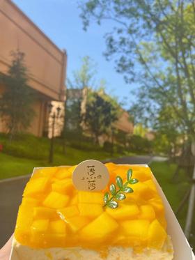 芒果提拉米苏（下午12点左右出货）