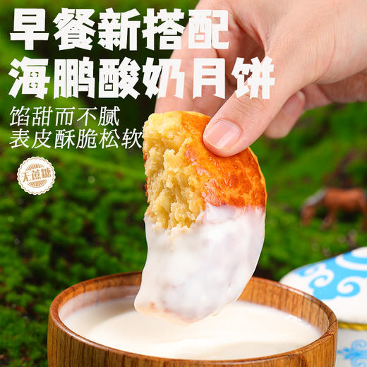 海鹏无蔗糖酸奶丰镇月饼50g*5枚 商品图5