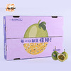 【断货】正安优选·即甜百香果  一起同柑22C 16颗/18颗   3斤装 商品缩略图5