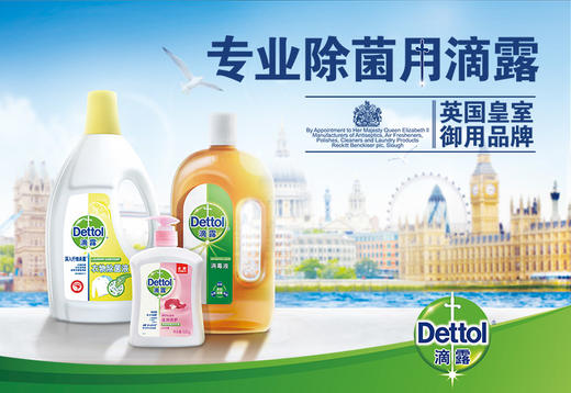 滴露衣物除菌液柠檬2.5L+1L 商品图0