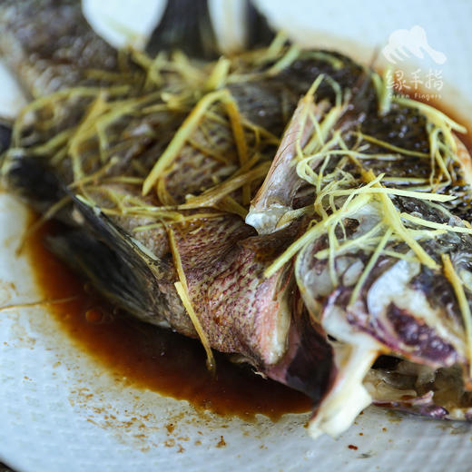 生态罗非鱼 （冷鲜，仅限省内下单 ）| 合作生产 * Eco- Tilapia | Coproduction 商品图2