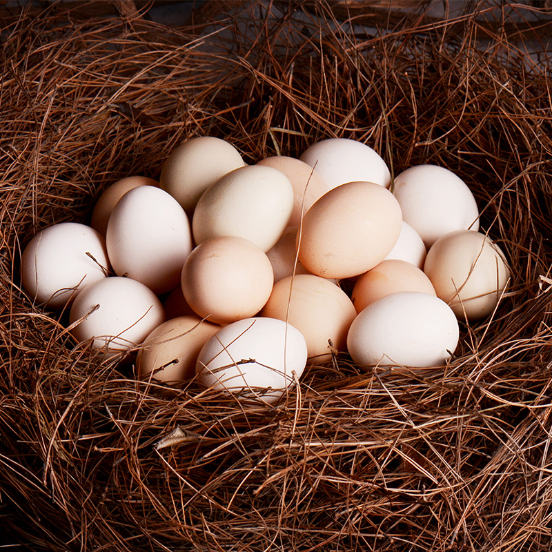 【预售】六合农场草鸡蛋30枚 线上（只发南京）