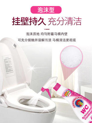 CHANTECLAIR 大公鸡管家 WC洁厕剂（漂白+杀菌） 商品图2