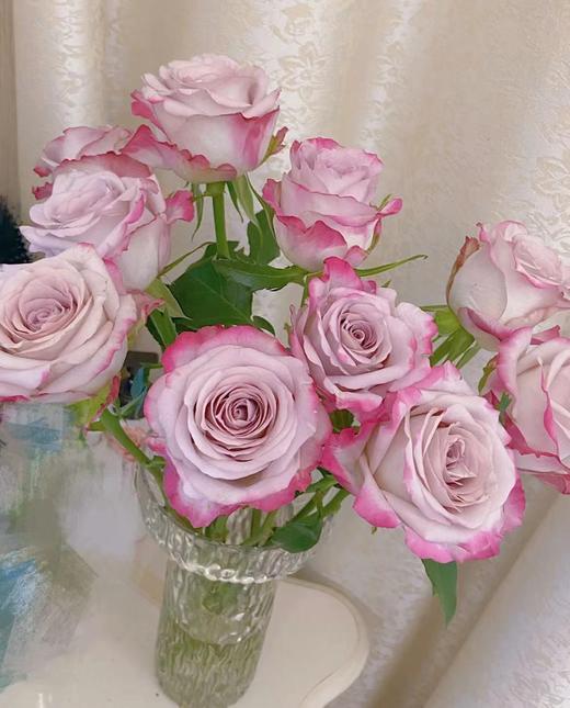 【秒杀福利】气场 20支/扎 商品图0