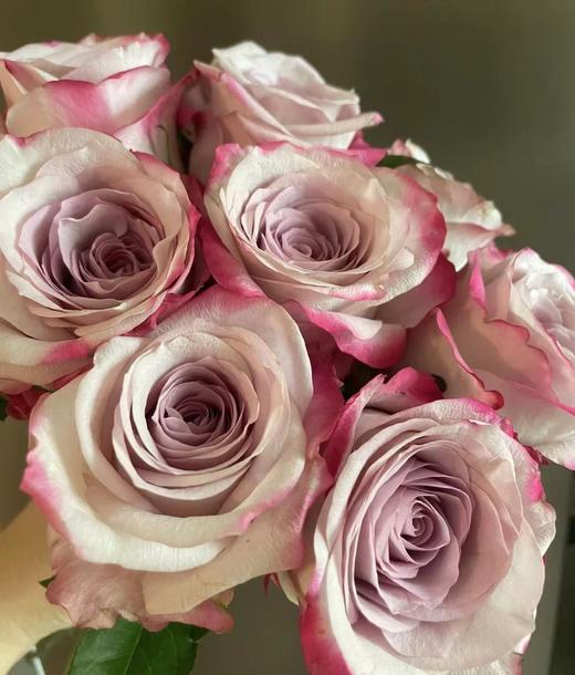 【秒杀福利】气场 20支/扎 商品图3