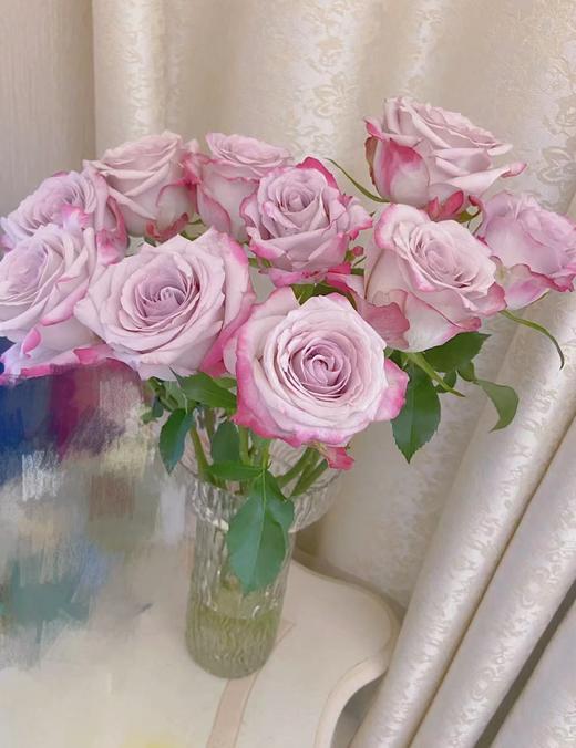 【秒杀福利】气场 20支/扎 商品图1