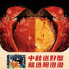 【阳澄湖大闸蟹礼券】 3对/4对/5对装 康辉甄选阳澄湖大闸蟹礼券团购 商品缩略图0