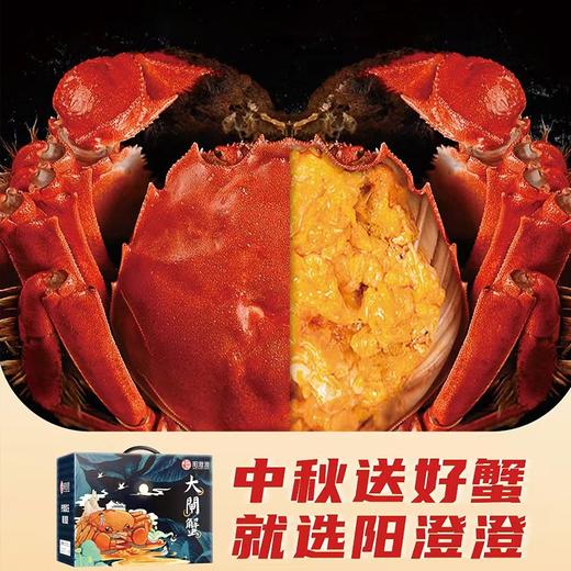 【阳澄湖大闸蟹礼券】 3对/4对/5对装 康辉甄选阳澄湖大闸蟹礼券团购 商品图0